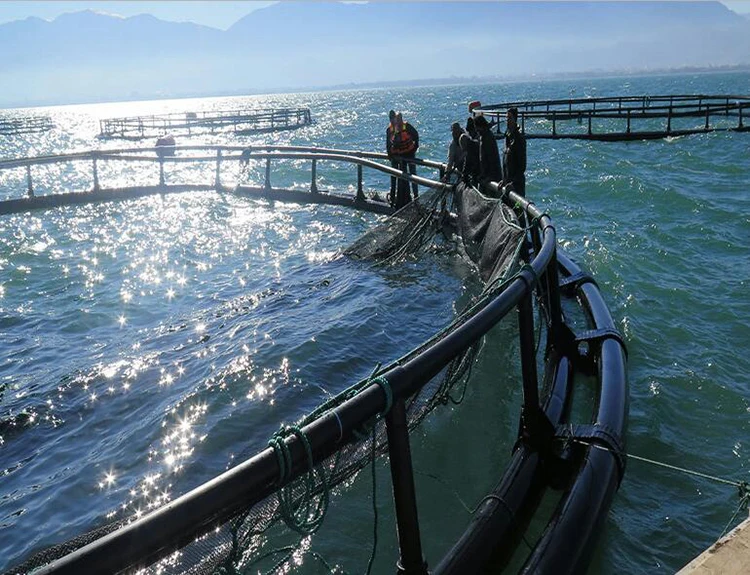 3060meter Circumference Farm Fish Cage Perimeter Sea Bass Fish Farming Cage For Pisciculture