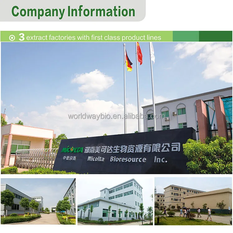 1 Company.jpg
