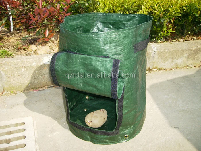 potato planter