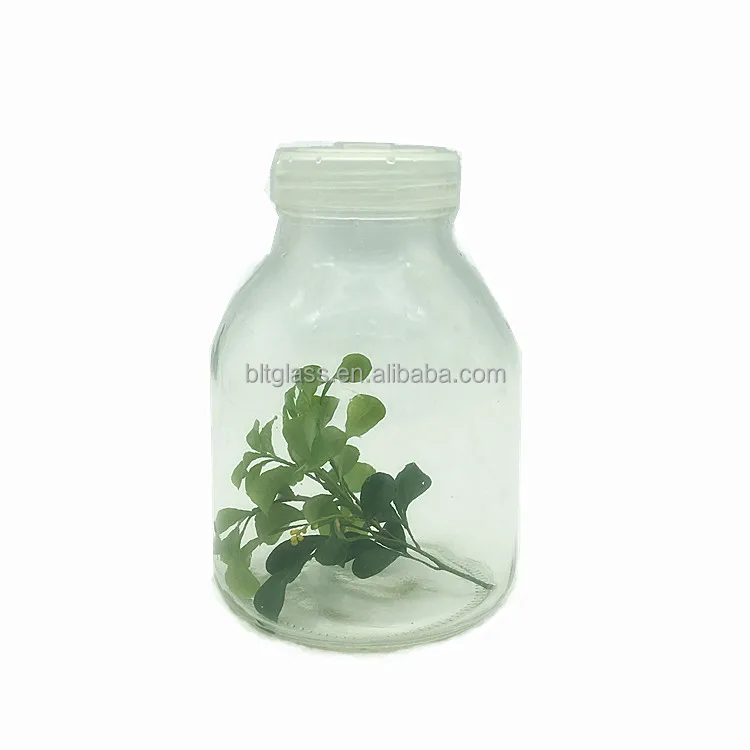 Wholesale Labs Use 650ml Clear Plant Tissue Culture Bottle With Plastic
