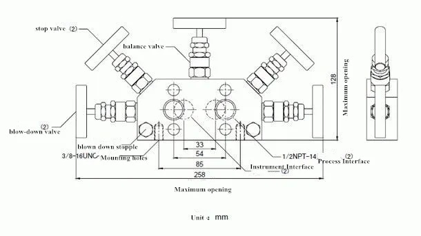 rosemount 5 valve manifold