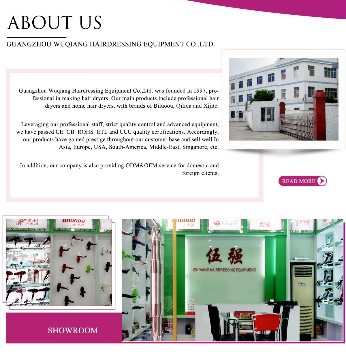 Guangzhou Baiyun Wuqiang Hairdressing Equipment Factory Professional Hair Drier Household Hair Dryer guangzhou baiyun wuqiang hairdressing