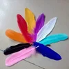 Decorative easter bleached dyed goose feathers for sale cheap