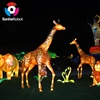 SH-SL050 Shining Vivid Chinese Festival Molding Lantern Fish