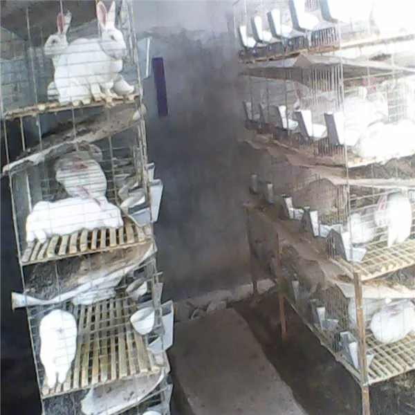 Hot Selling Galvanized Rabbit Farming Equipment For Commercial Rabbits