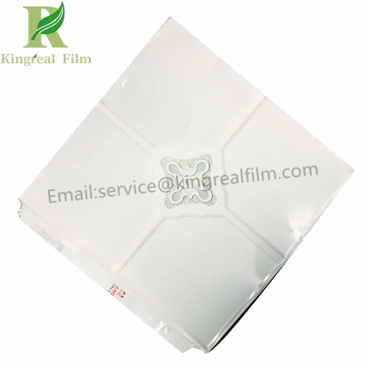 protective film18112615