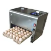 Price of Egg Coding Machine