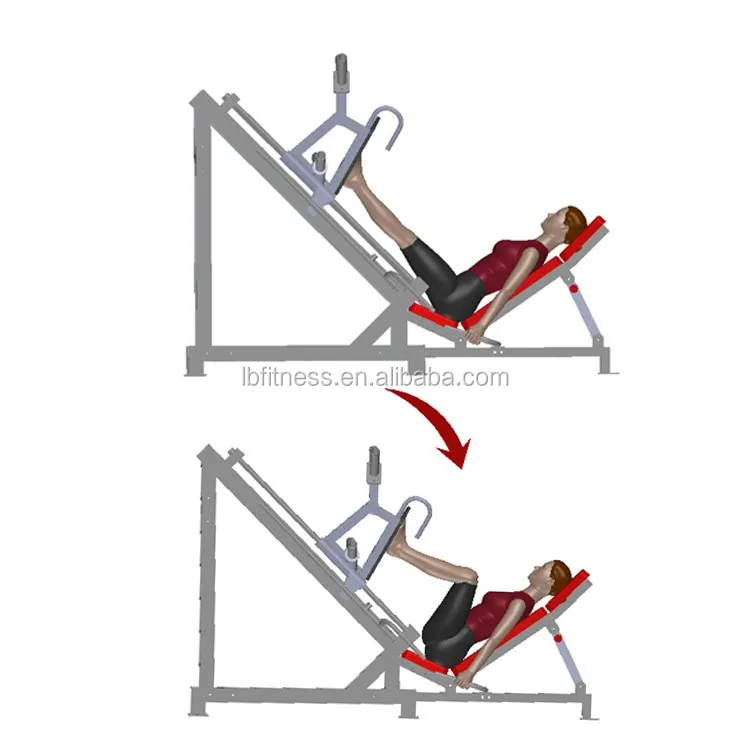 Professional Gym Equipment Linear Leg Press & Hack Squat Commercial