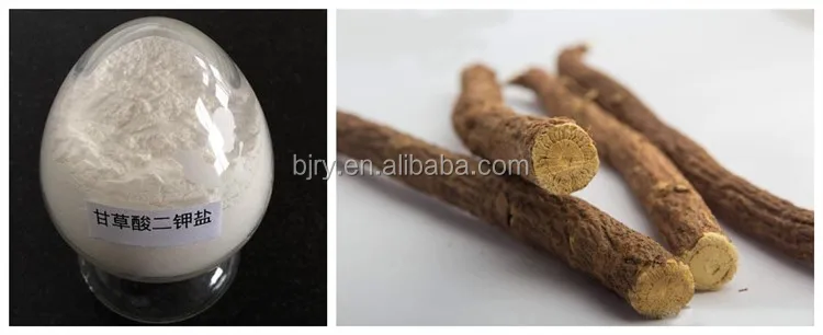 Корень гинкго билоба дерево. Выдержка корень. Оптовый корень. Экстракт одуванчика густой. Настойка женьшеня.