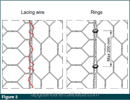 FIGURE3.jpg