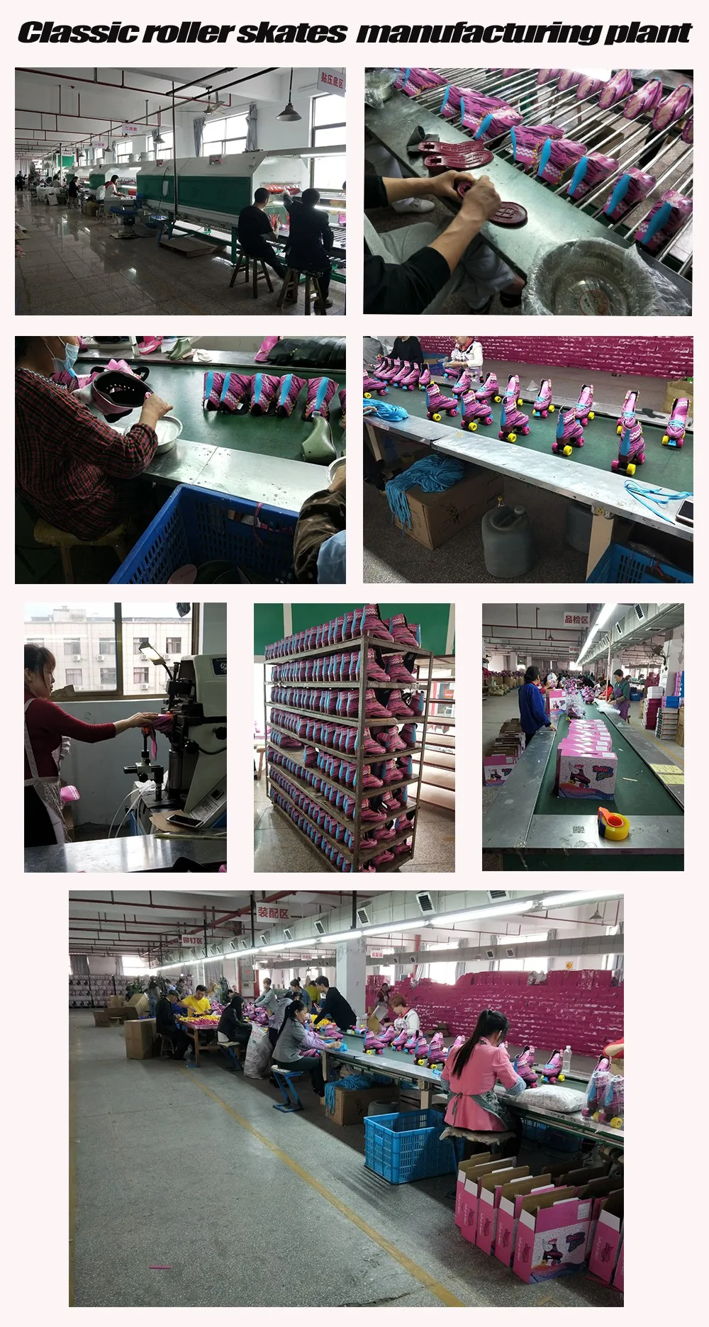 PLANTS-OF-CLASSIC-ROLLER-SKATE