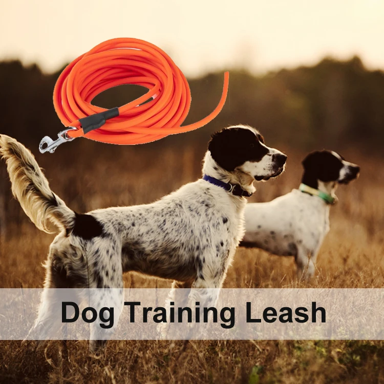 dog training leash.jpg