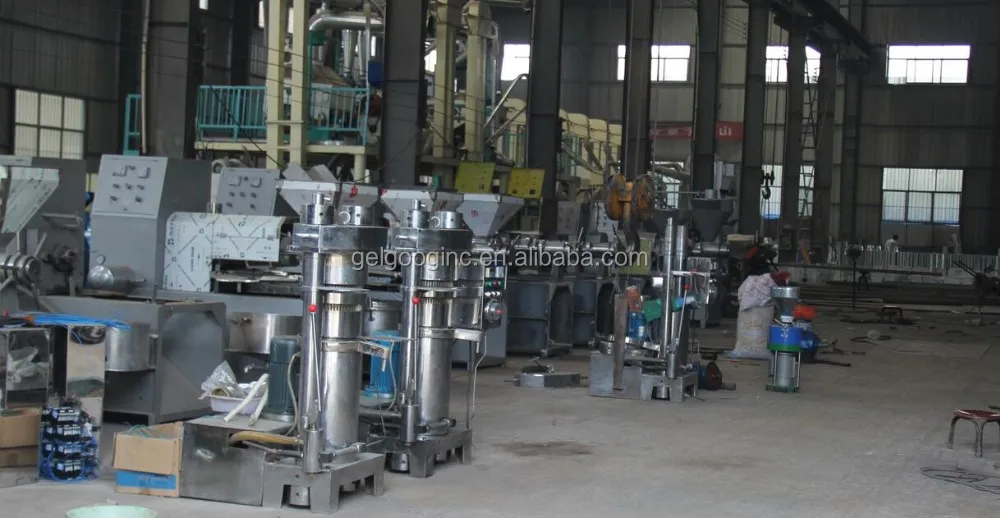 Stainless Steel Olive Oil Press For Sale/cold Press Oil Machine/olive