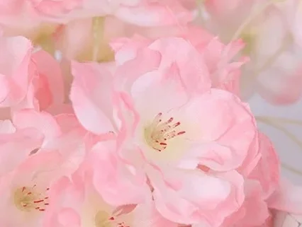 wedding cherry blossom tree