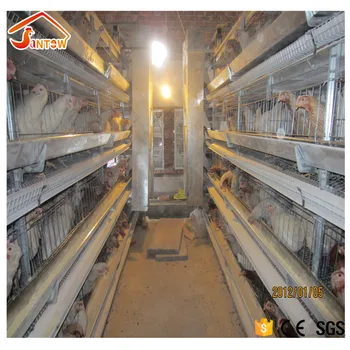 Most Automatic Chicken Coop H Type Name Of Chicken Poultry Farm Equipment Buy Automatic Chicken Raising Equipmenth Type Name Of Chicken Poultry