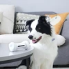 2019 new bone shape electronic pet toy for dog/cat which remote control by Application