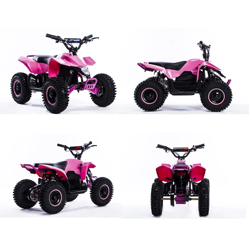 Mini Bike 800w