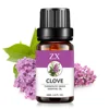 2019 top seller supply top grade clove essential oil for tooth aches and diffuser