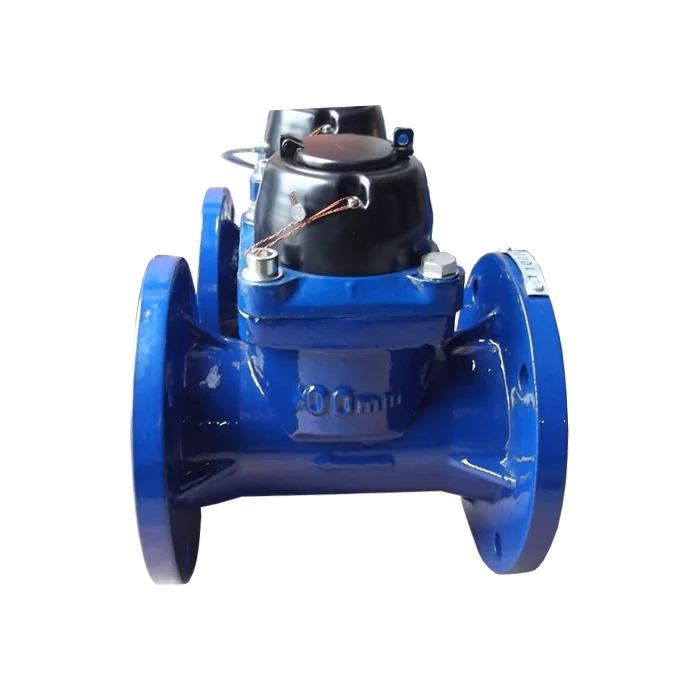 DN80mm water meter.jpg