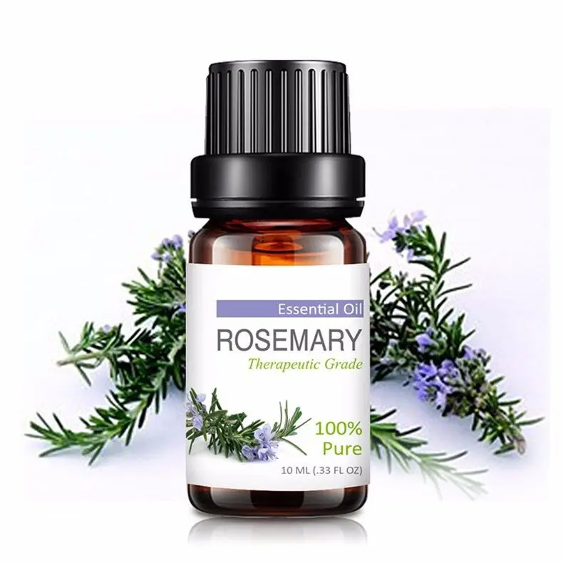 Experienced Manufacturer Pure Natural Rosemary Oil In Bulk - Buy ...