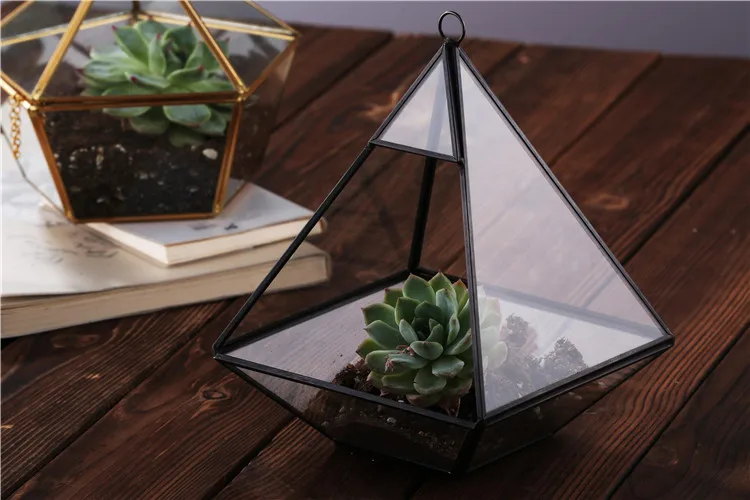 Custommade Home Geometric Glass Terrarium With Black Metal Frame For