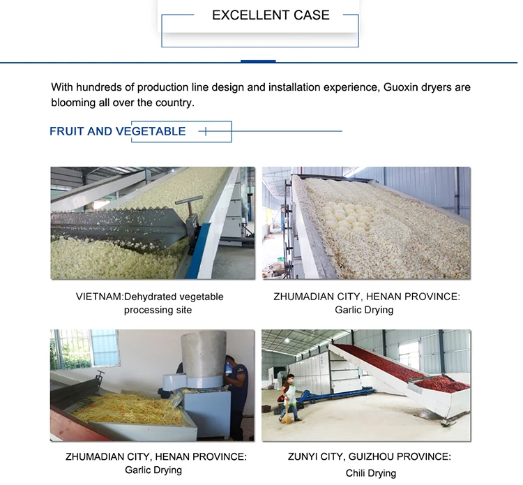 guoxin safe and reliable operation good quality dried salted fish drying machine