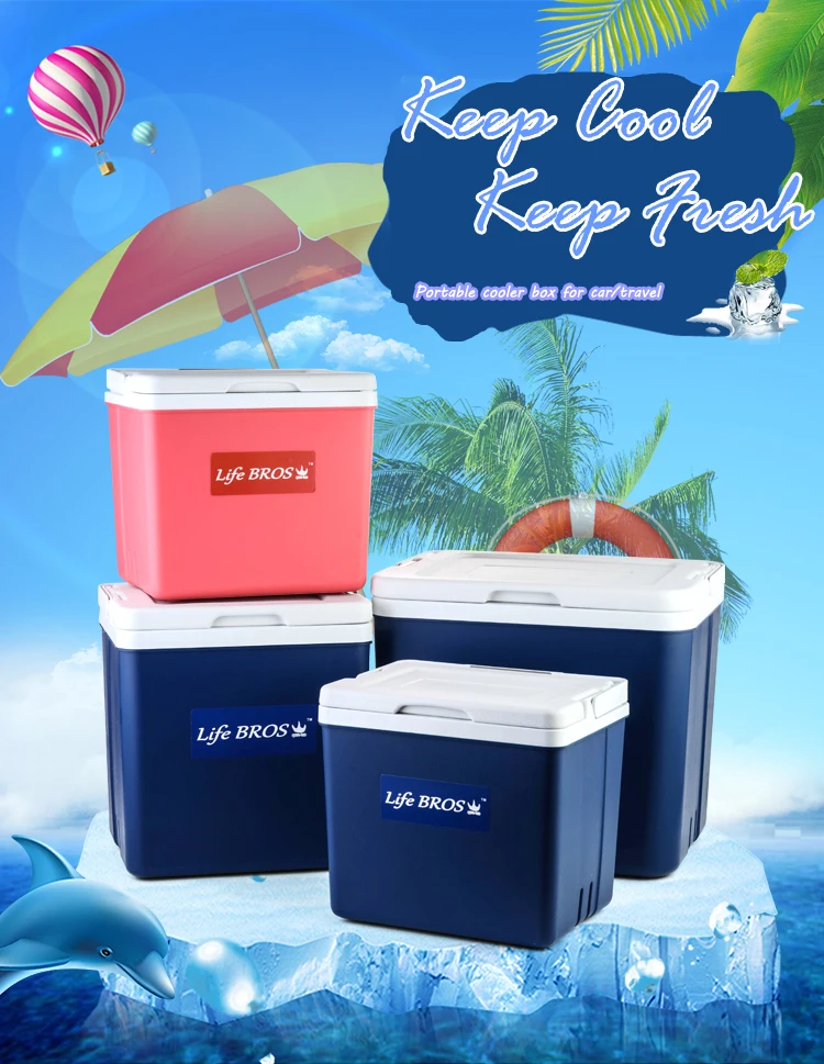 High Quality 10liter Picnic Mini Car Cooler Box For Fishing And