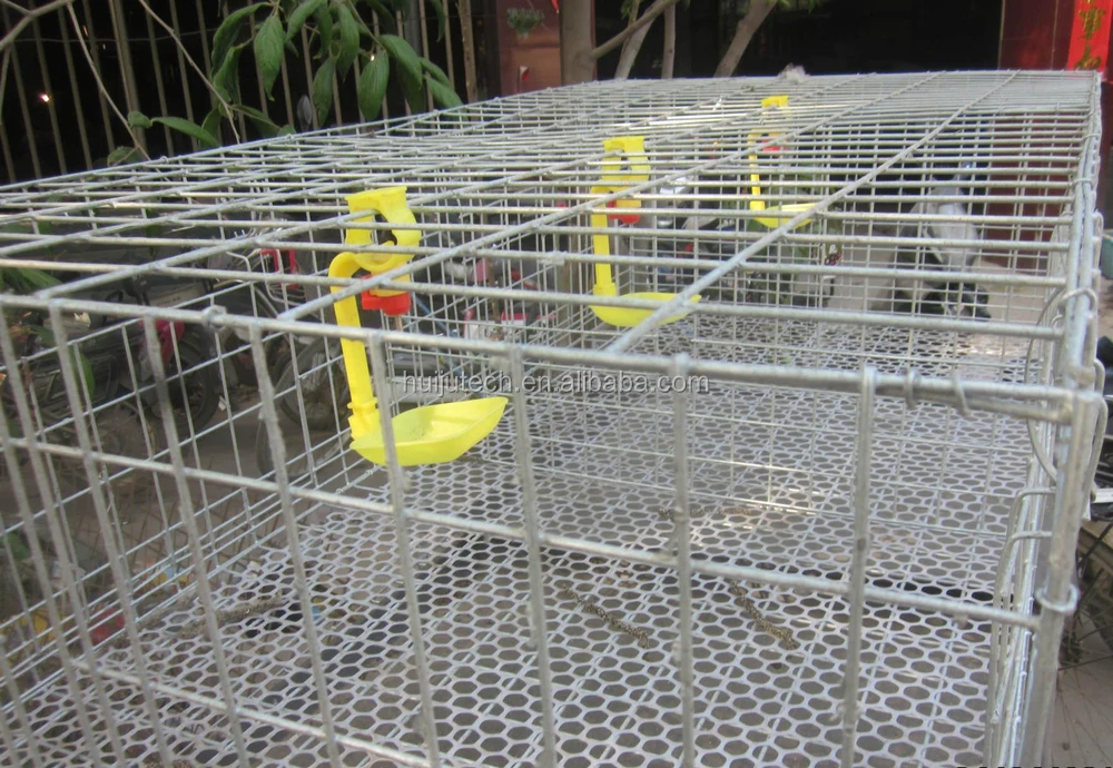 Chicken Cage For Poultry Farm For Nigeria/steel Wire Metal 