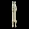 queen anne table legs furniture legs kitchen wood coffee table legs
