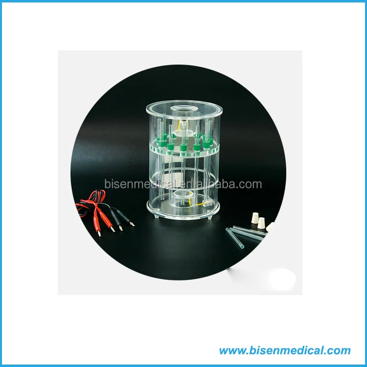 Dna Or Pcr Hemoglobin Electrophoresis Vertical Gel Electrophresis For Western Blotting