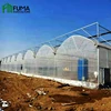 FM Hydroponic System Plant Growth Plastic-film Greenhouse