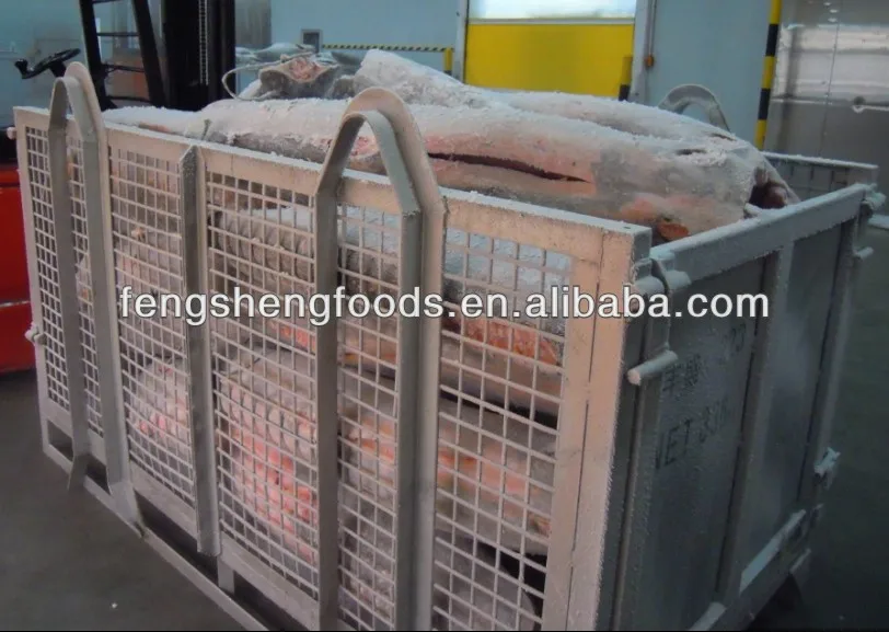 sashimi grade frozen swordfish 5 tuan seafood