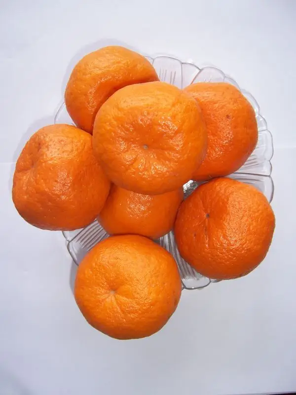 mandarin orange 2.jpg