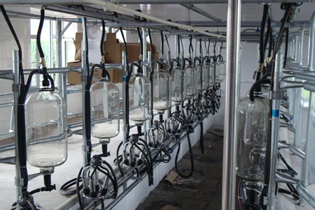 Most durable fully automatic cleaning milking parler for Dairy  Large milk collection equipment