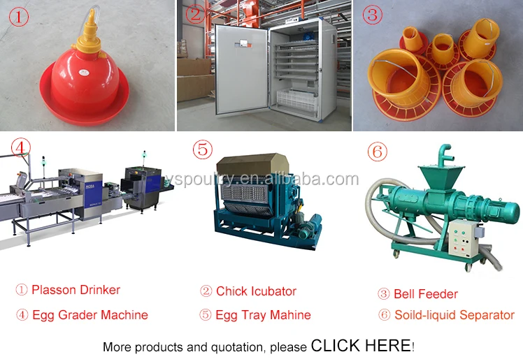 RELATED PRODUCTS.jpg