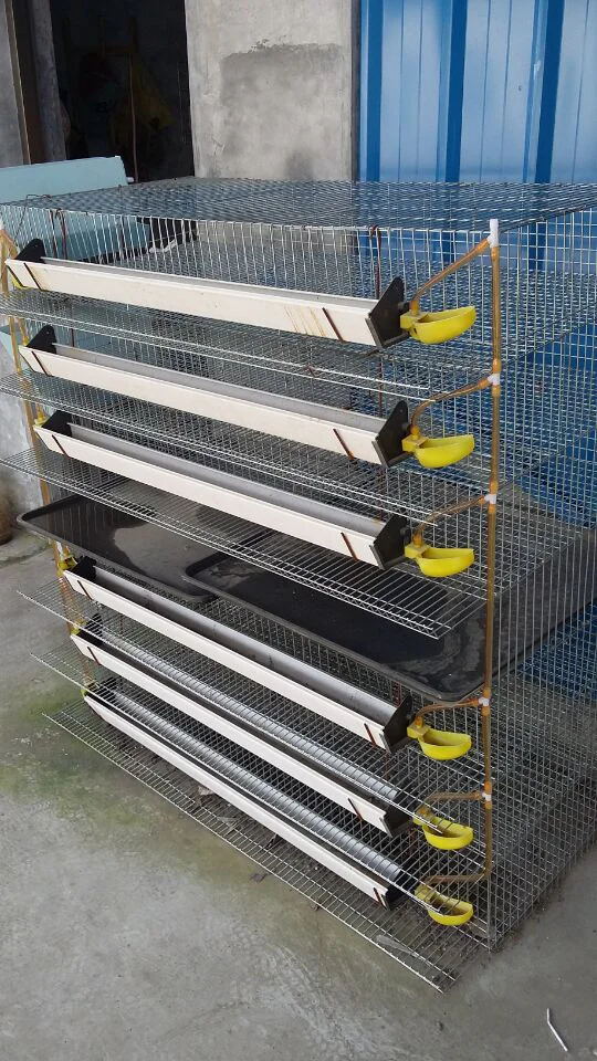 Supply Metal Quail Cages,Quail Cage For Laying Hen For Poultry Farm Hj