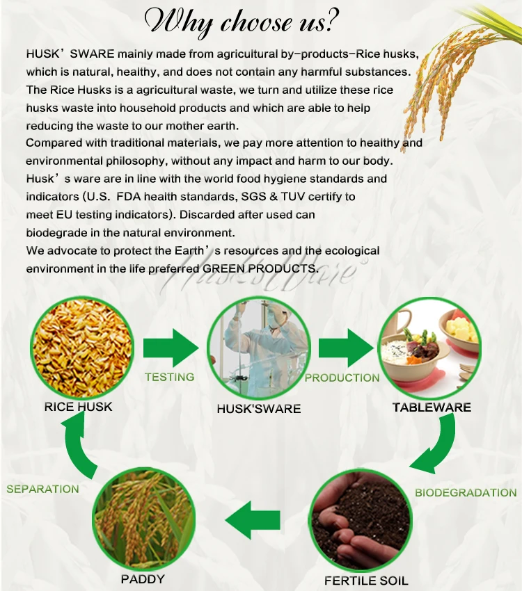 100 Ecofriendly Rice Husks Fiber Square Dish,Recycled Plate Buy