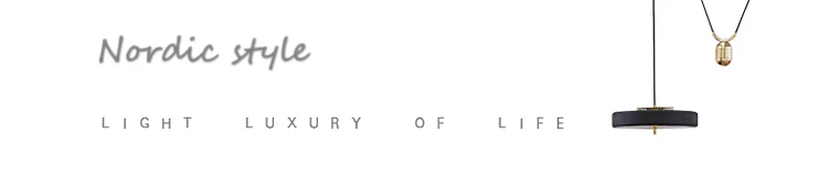 Nordic style.jpg