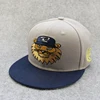 Wholesale Custom Snapback Cap High Quality Hip Hop Cap,Embroidery Sport Snapback Caps/Hats,Store Sport Caps/Hats