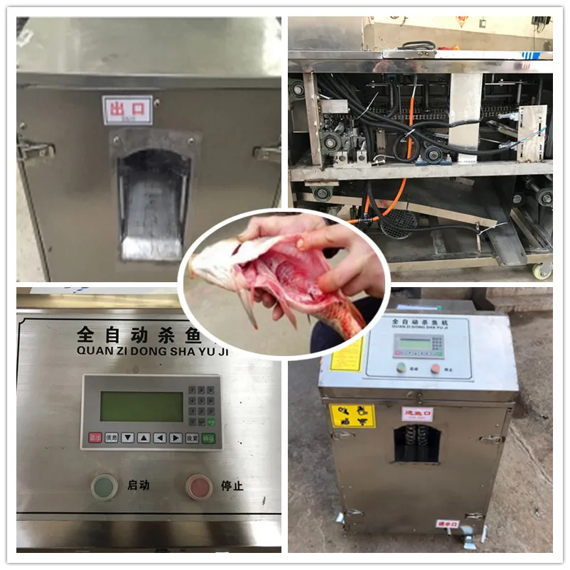 fish sliver carp gutting machine