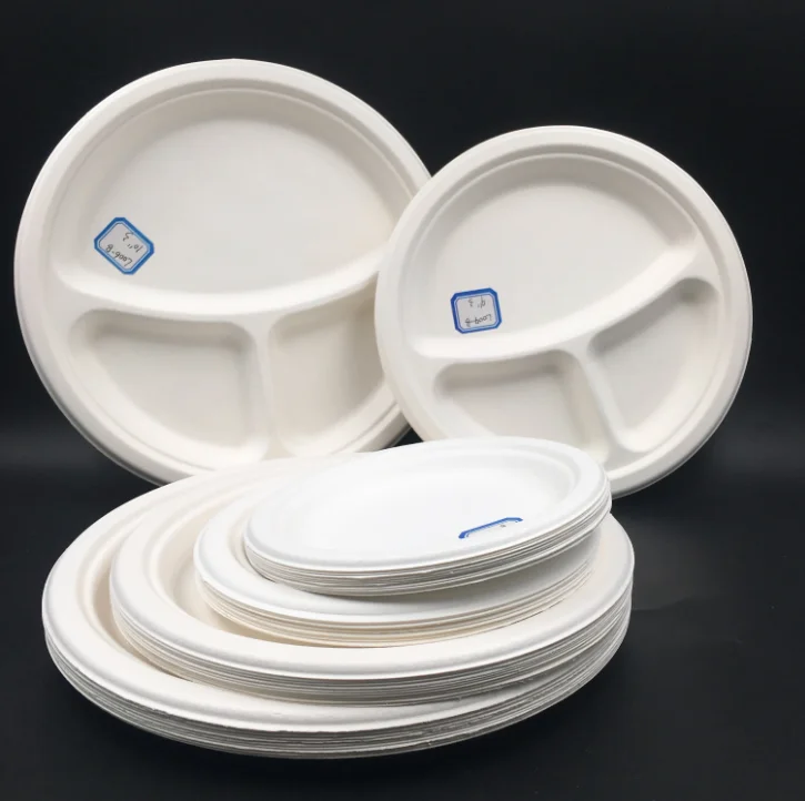 Ecofriendly Biodegradable Compartments Food Containers Disposable