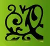 Web Design Services