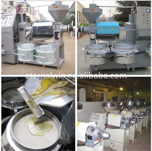 Screw Coconut Milk Press Machine / Coconut Milke Extraction Machine