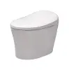 Computerized electric auto wash smart bidet toilet