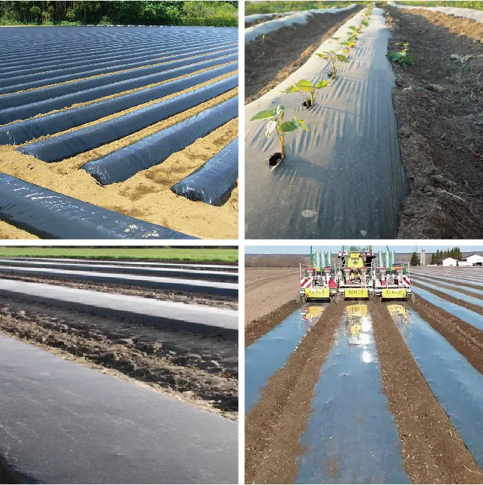 agriculture film Mulch film