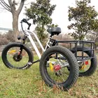 Hongdu 500W48V 20"24" fat tire electric tricycle fat electric bicycle tricycle parts electric tricycle china