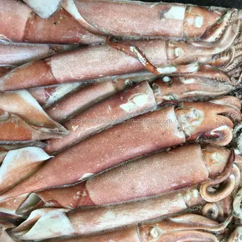 Japanese Squid For Sale - Buy Fresh Squid For Sale,Live Squid For Sale