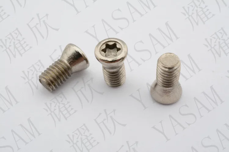 screw for milling cutter (13)