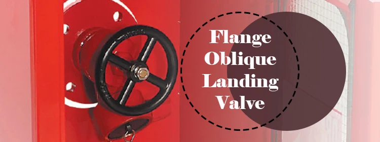 Flange Landing Valve.jpg