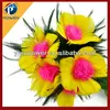 Five feather flower magic trick